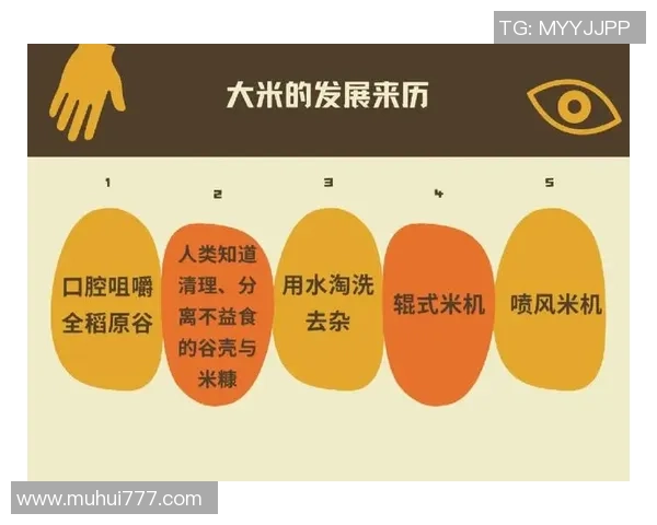 大米：从草根到球场巨星的传奇历程与成长故事