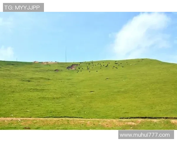 足球明星与海洋共舞 探寻绿茵场之外的心灵之旅 足球明星与海洋共舞 探寻绿茵场之外的心灵之旅