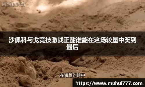彩神vll官网